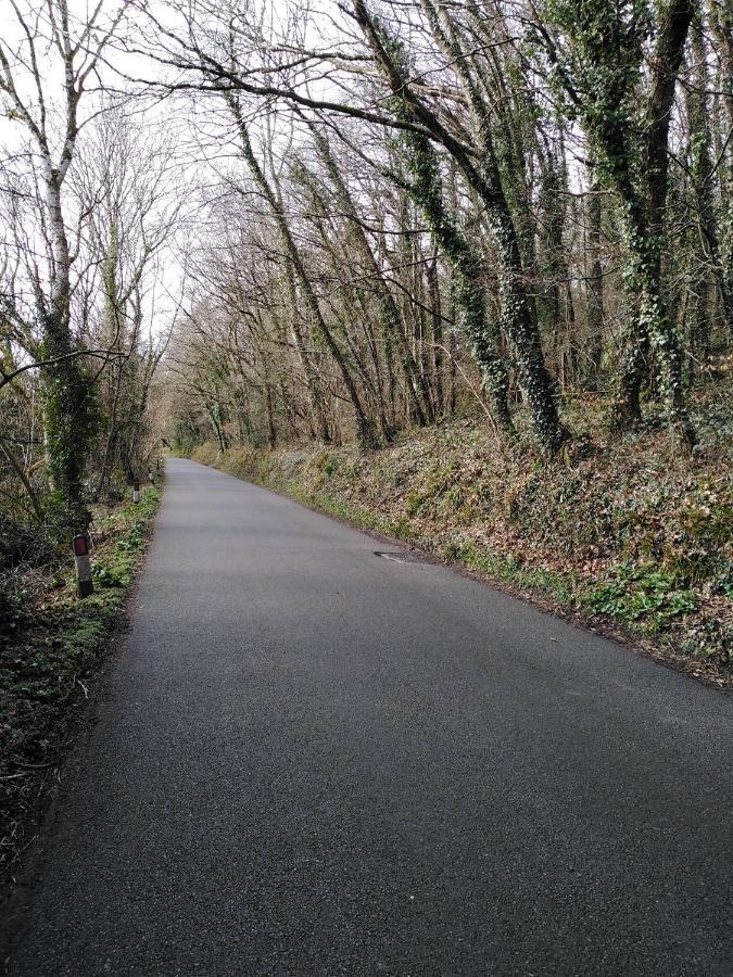 The Mill Cottage Llechryd 외부 사진