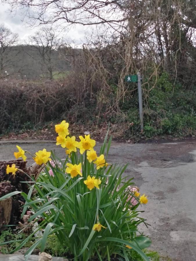 The Mill Cottage Llechryd 외부 사진